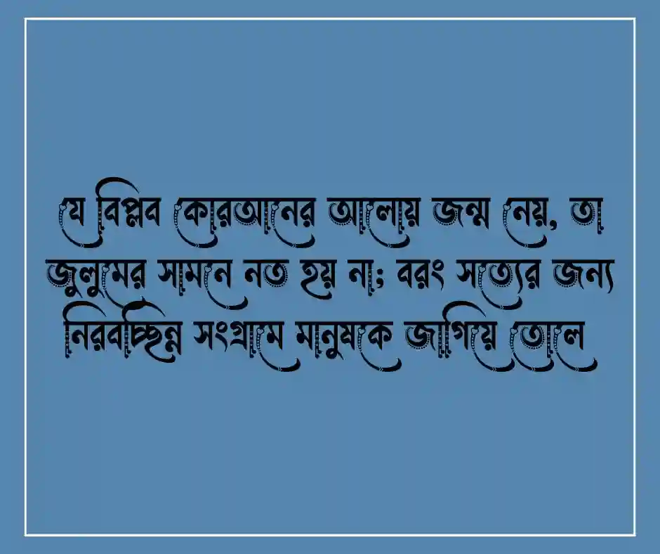 ইসলামী বিপ্লবী উক্তি