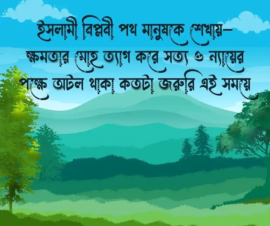 ইসলামী বিপ্লবী স্ট্যাটাস