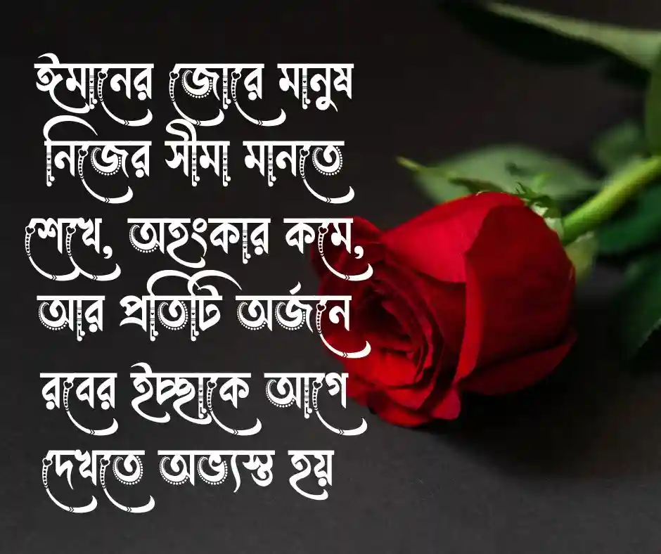 ঈমান নিয়ে স্ট্যাটাস