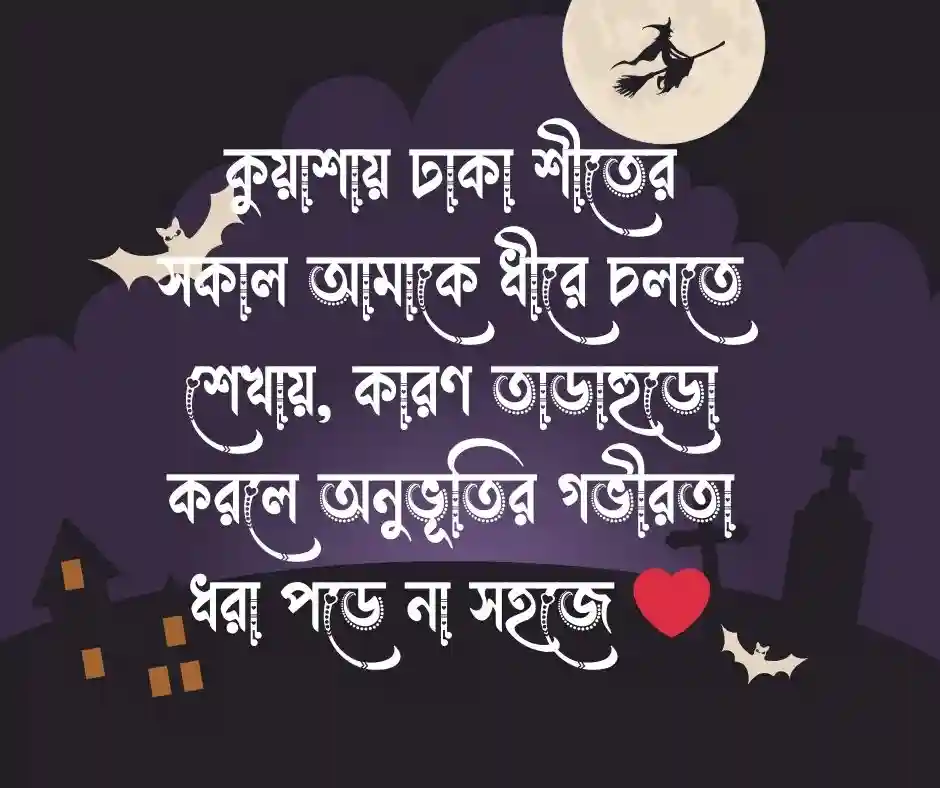 কুয়াশাচ্ছন্ন শীতের সকাল ক্যাপশন