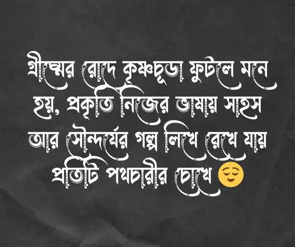 কৃষ্ণচূড়া ফুলের ক্যাপশন