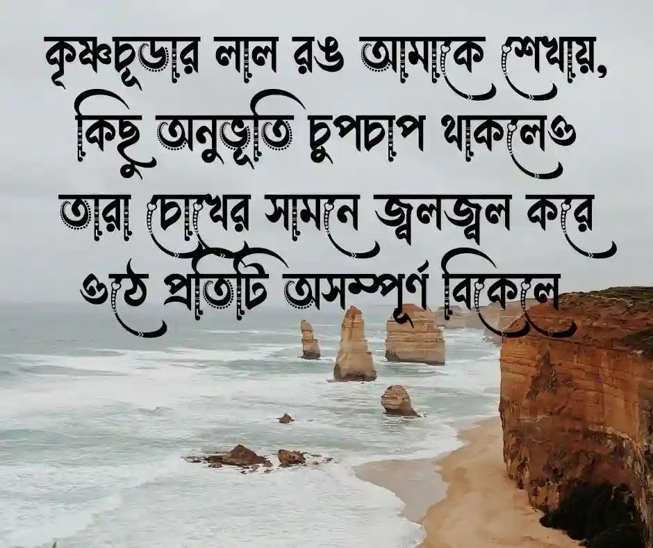 কৃষ্ণচূড়া ফুল নিয়ে ক্যাপশন