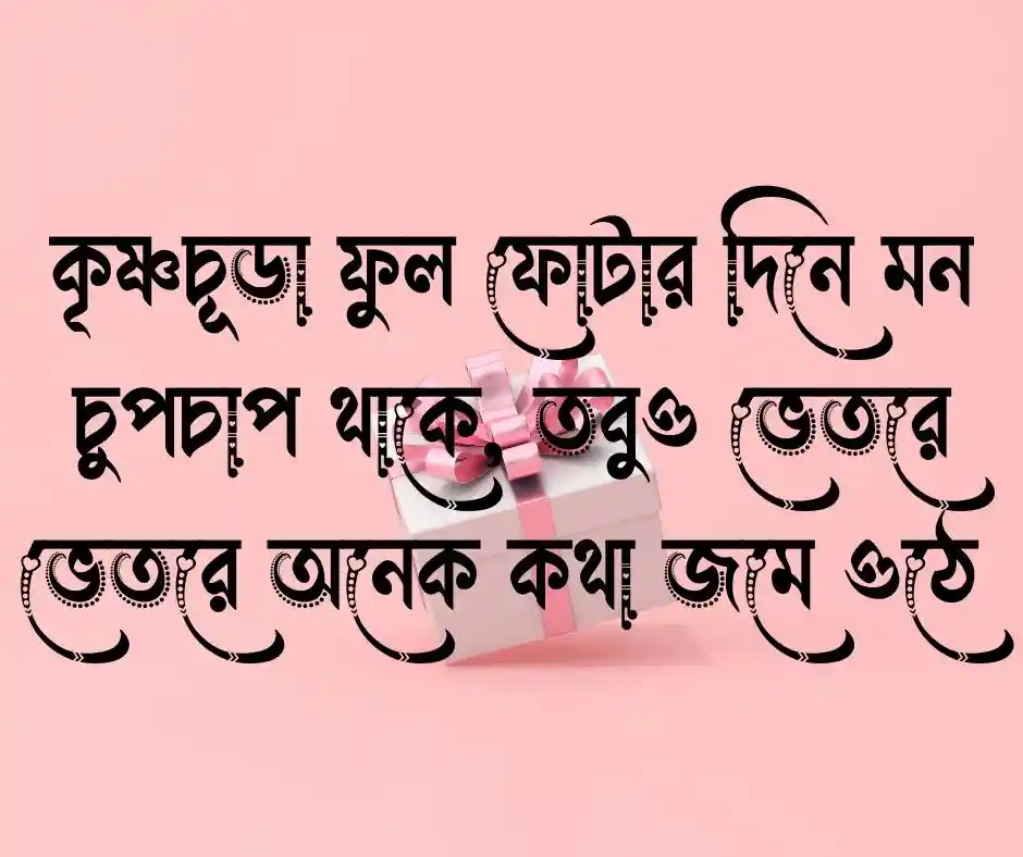 কৃষ্ণচূড়া ফুল নিয়ে স্ট্যাটাস