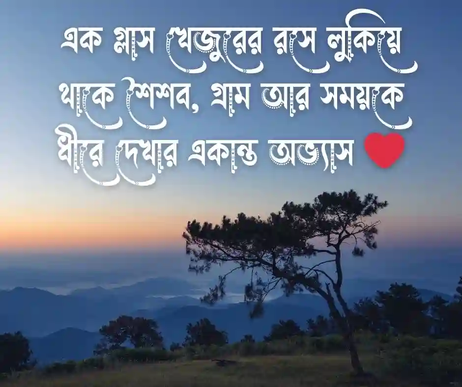 খেজুরের রস নিয়ে উক্তি