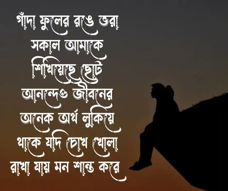 গাঁদা ফুল নিয়ে স্ট্যাটাস