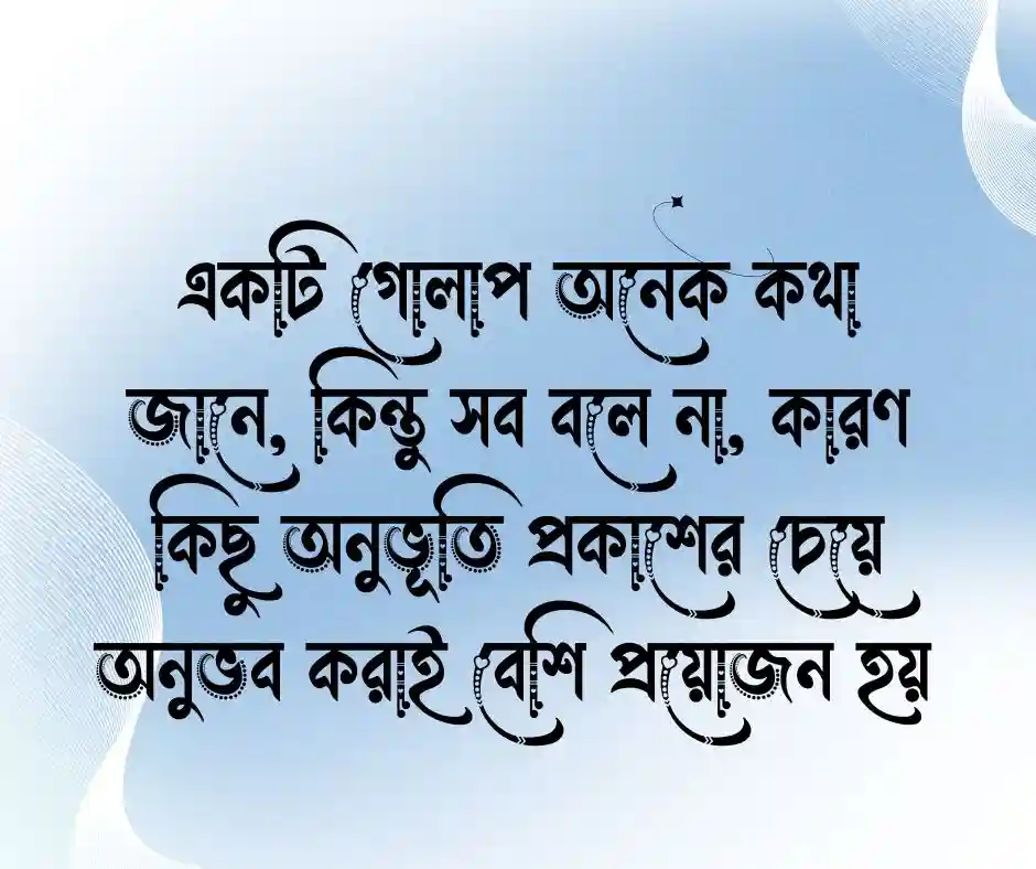 গোলাপ ফুল নিয়ে কিছু কথা