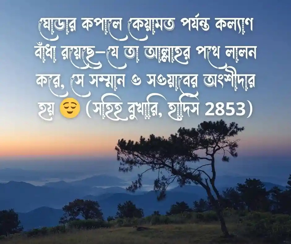 ঘোড়া নিয়ে হাদিস