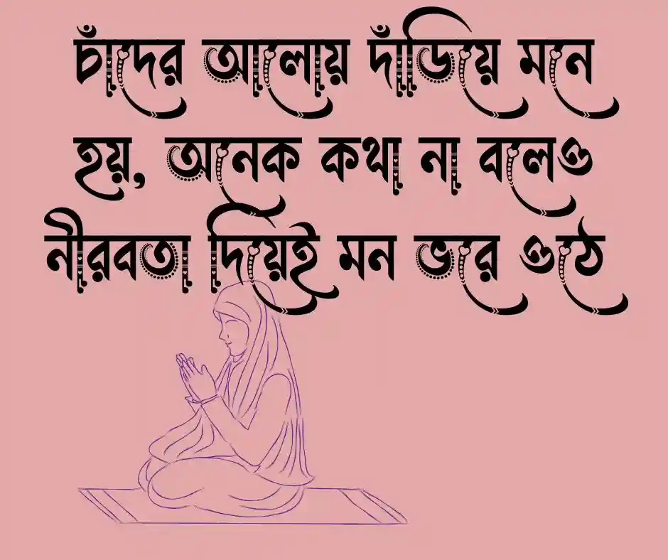 চাঁদের আলো নিয়ে ক্যাপশন
