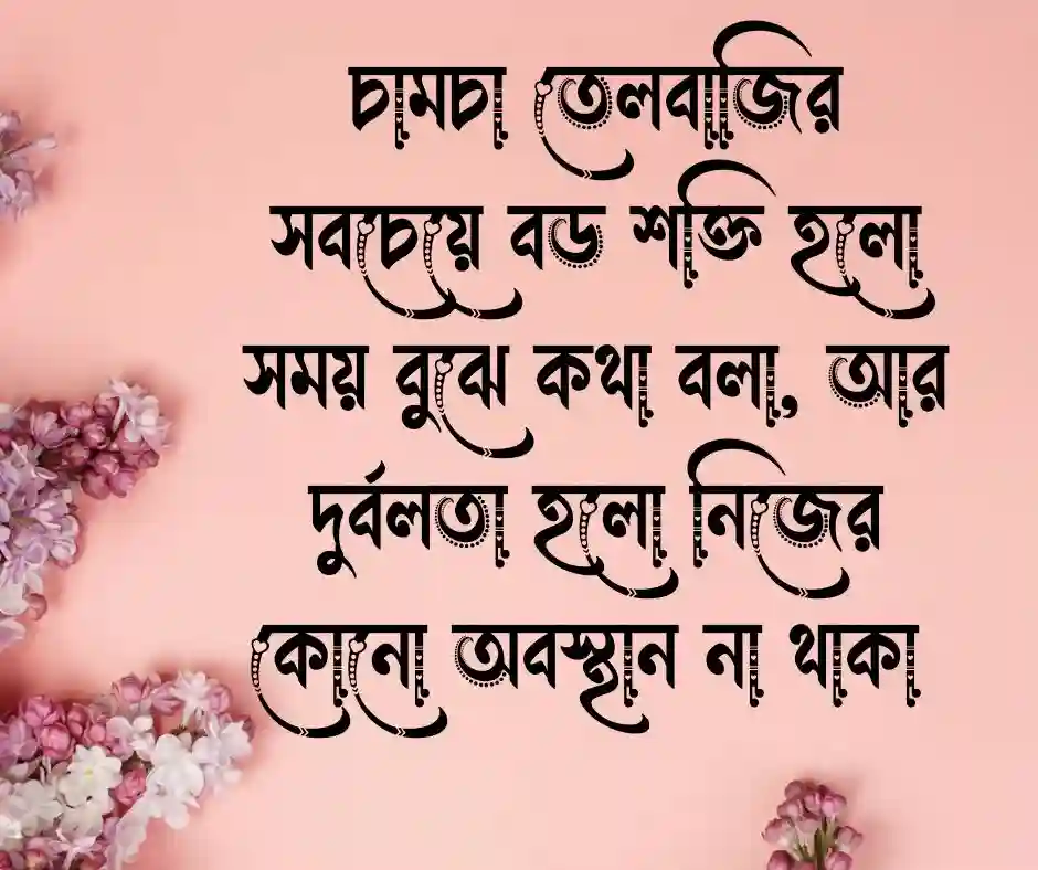 চামচা তেলবাজি নিয়ে উক্তি