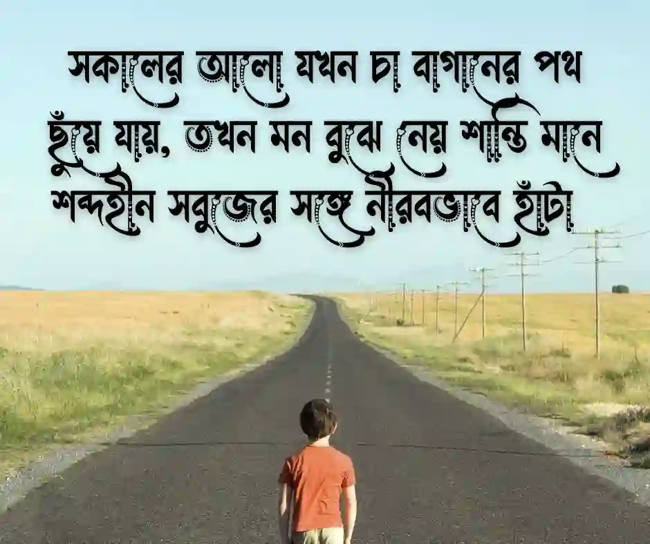 চা বাগান নিয়ে ক্যাপশন
