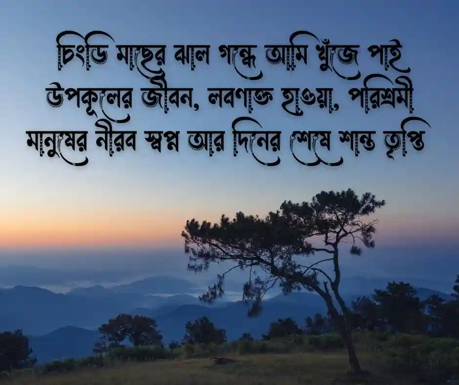 চিংড়ি মাছ নিয়ে ক্যাপশন