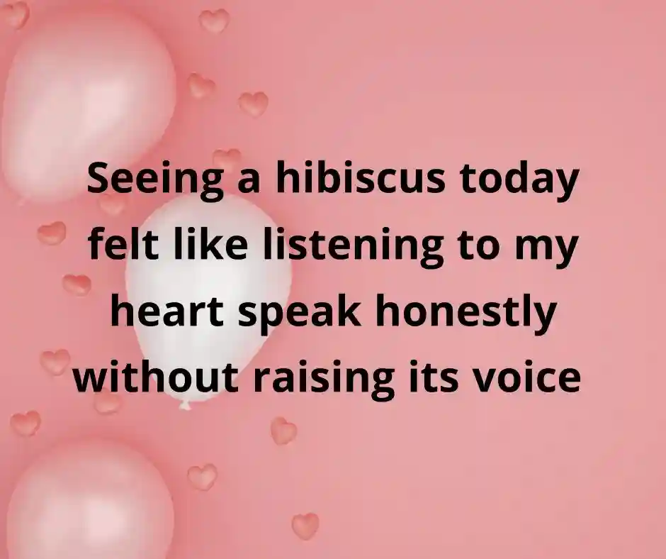 জবা ফুল নিয়ে ক্যাপশন English