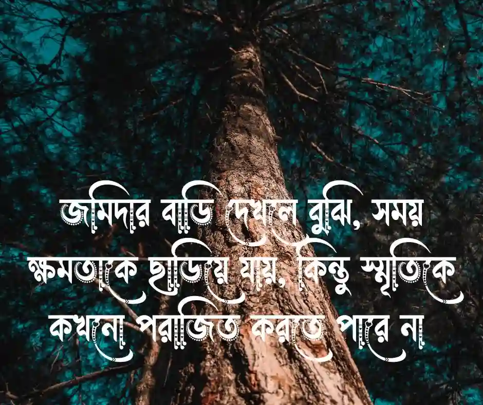 জমিদার বাড়ি নিয়ে উক্তি