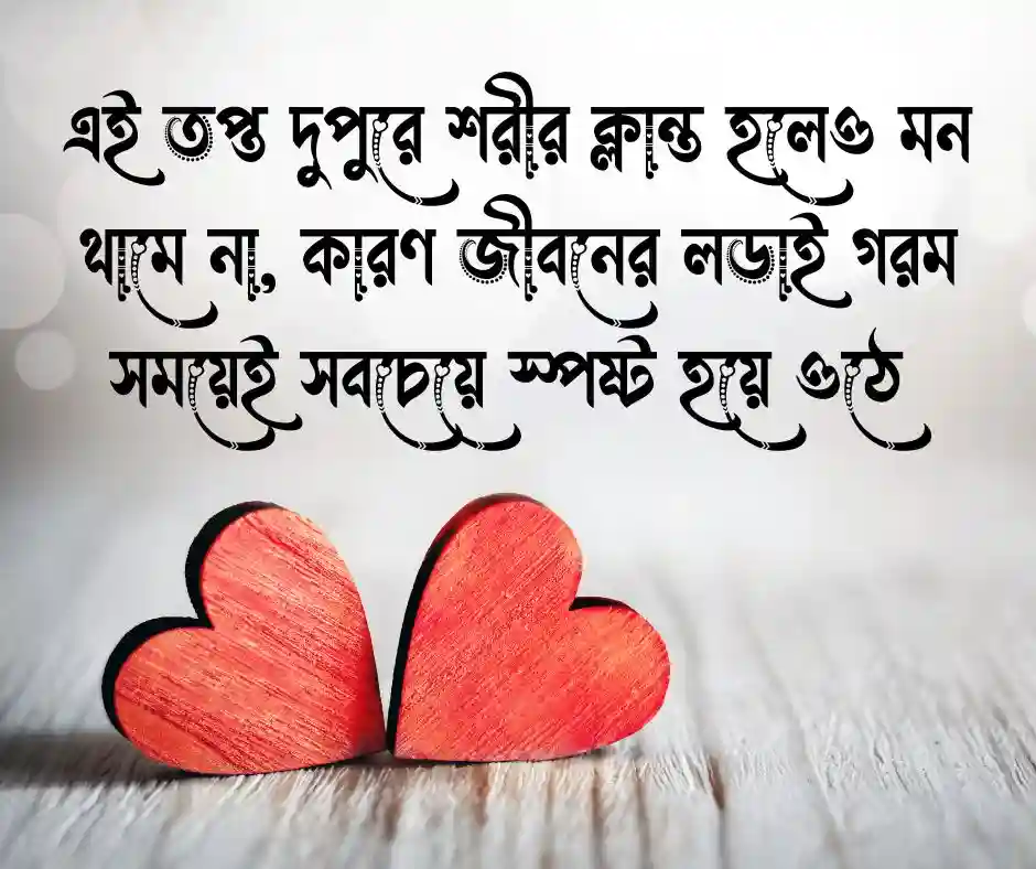 তপ্ত দুপুর নিয়ে উক্তি