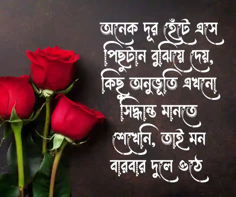 পিছুটান নিয়ে ক্যাপশন