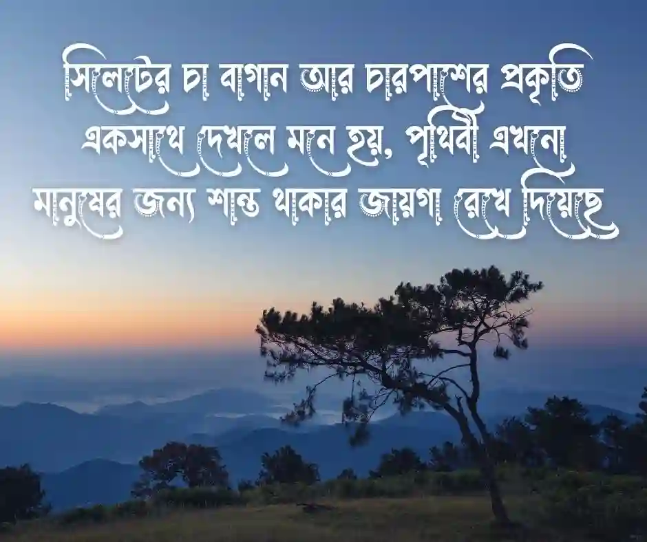 প্রকৃতি ও চা বাগান নিয়ে ক্যাপশন