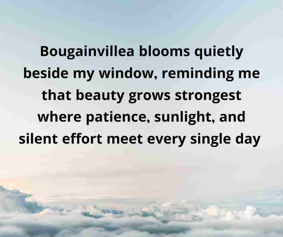 বাগান বিলাস ফুল নিয়ে ক্যাপশন English.