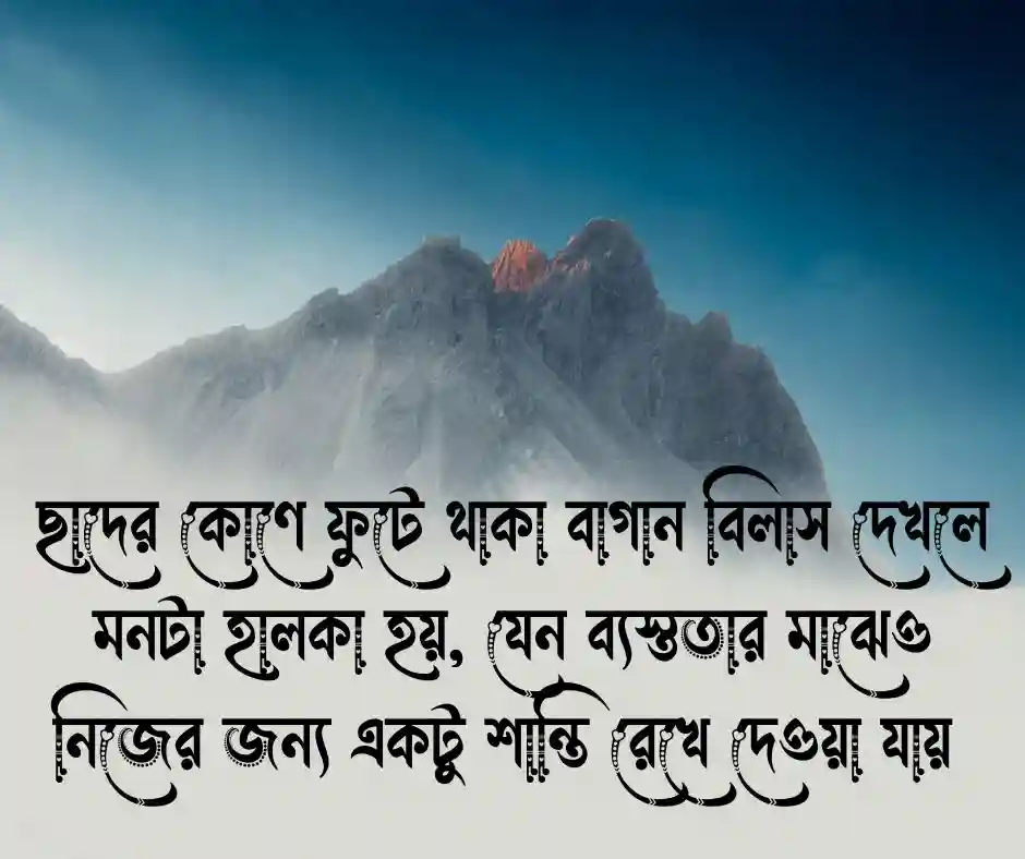 বাগান বিলাস ফুল নিয়ে ছোট ক্যাপশন