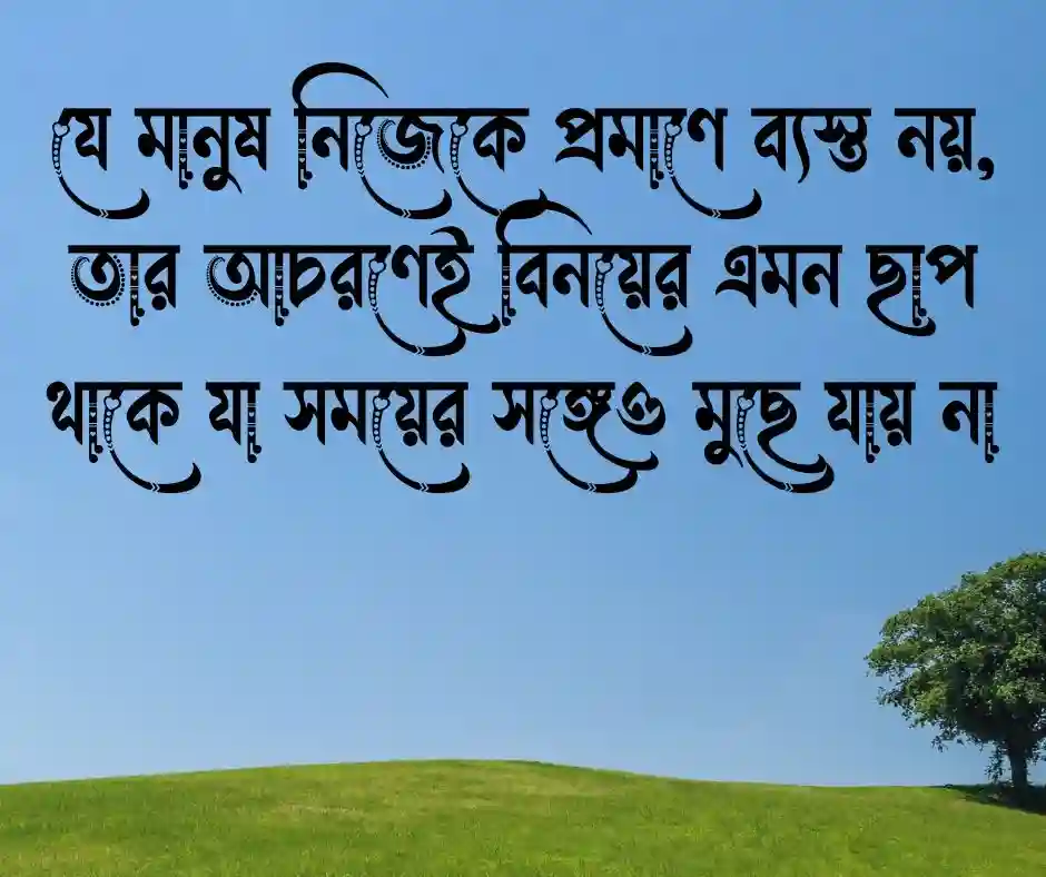 বিনয় নিয়ে উক্তি
