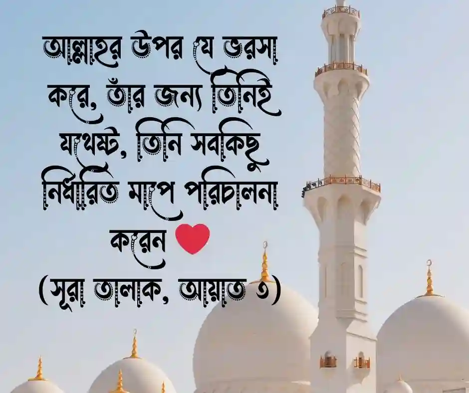 ভাগ্য নিয়ে কোরআনের উক্তি