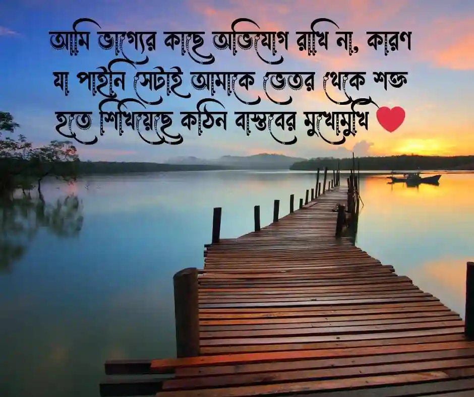 ভাগ্য নিয়ে স্ট্যাটাস