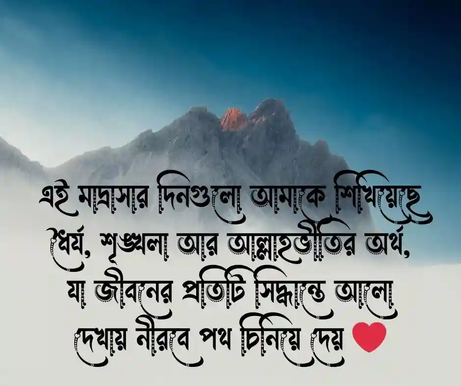 মাদ্রাসা নিয়ে স্ট্যাটাস