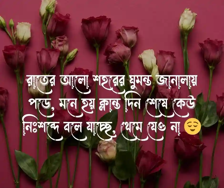 রাতের আলো নিয়ে ক্যাপশন