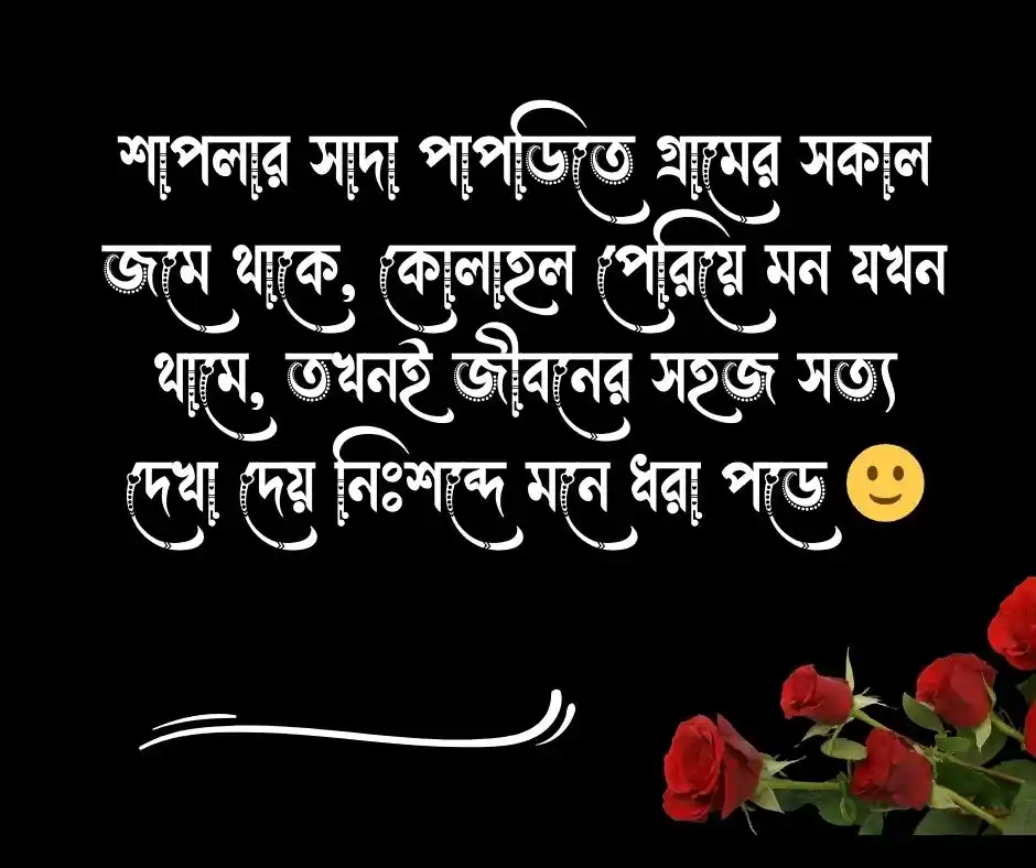 শাপলা ফুল নিয়ে ক্যাপশন শাপলা ফুল নিয়ে স্ট্যাটাস