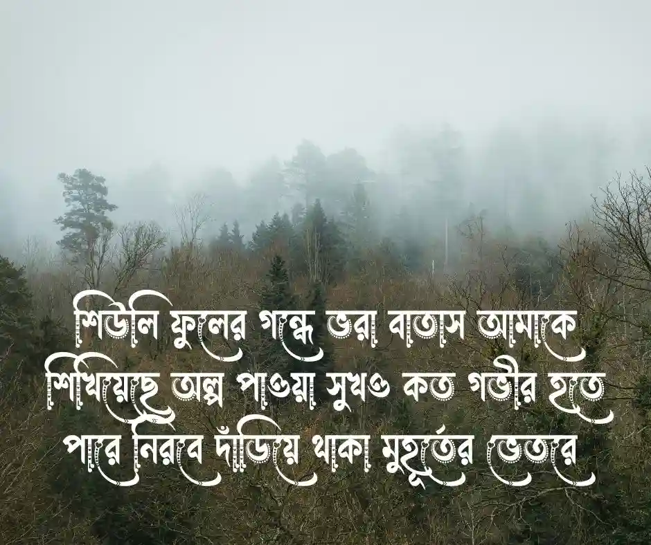 শিউলি ফুল নিয়ে ক্যাপশন