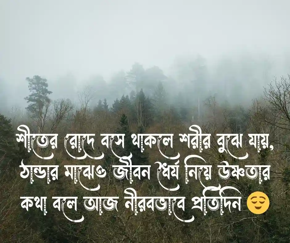 শীতের রোদ নিয়ে ক্যাপশন