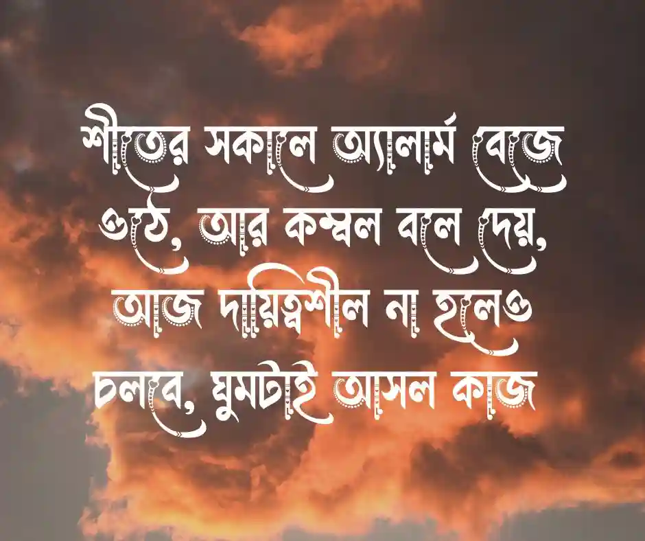 শীত নিয়ে ফানি ক্যাপশন শীত নিয়ে মজার জোকস