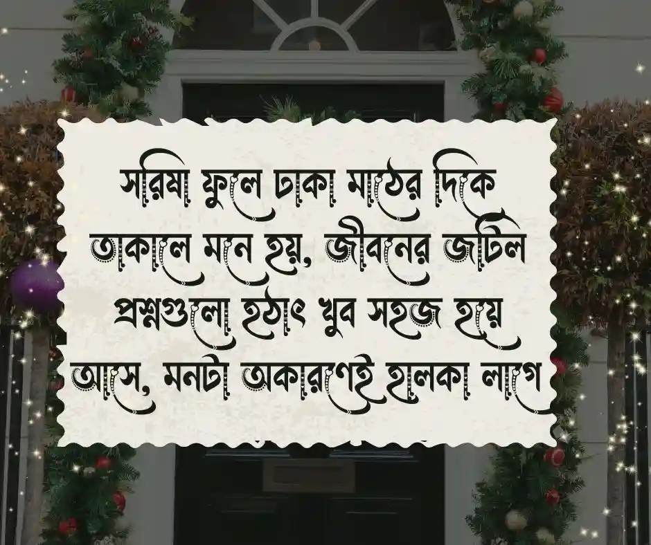 সরিষা ফুলের ক্যাপশন