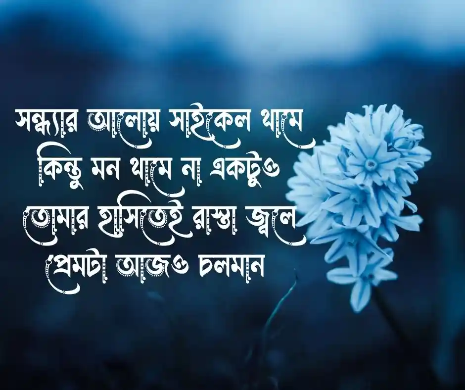 সাইকেল নিয়ে প্রেমের কবিতা