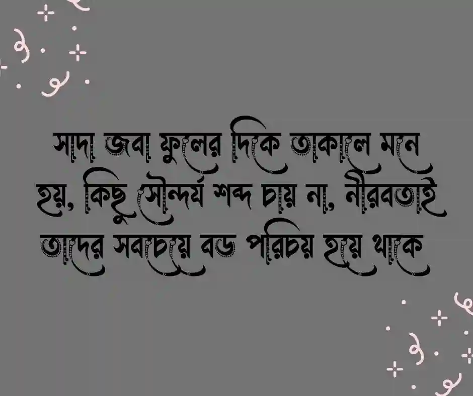 সাদা জবা ফুল নিয়ে ক্যাপশন