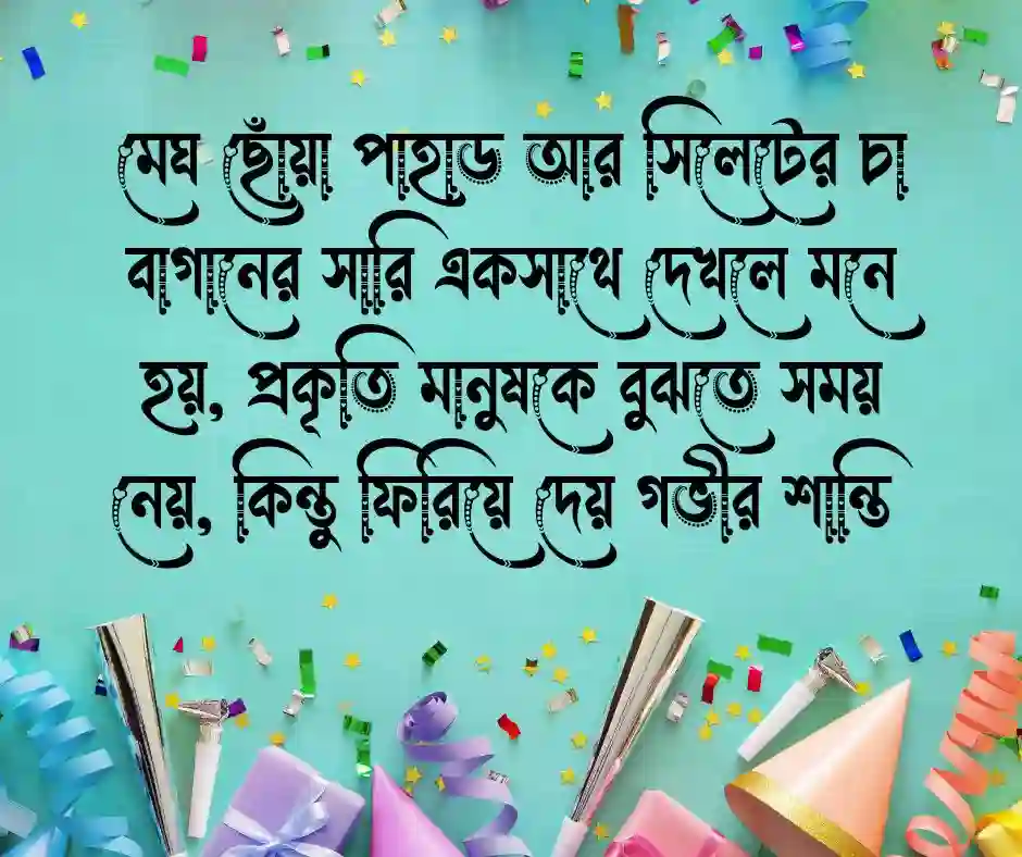 সিলেট চা বাগান নিয়ে ক্যাপশন