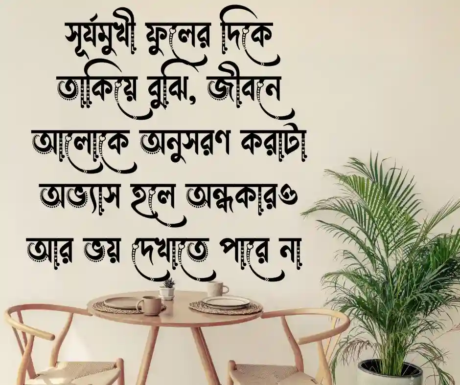 সূর্যমুখী ফুলের ক্যাপশন