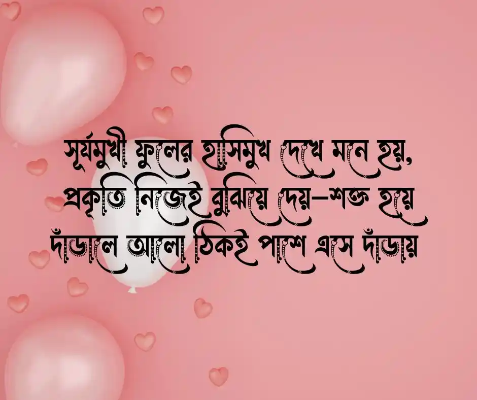 সূর্যমুখী ফুল নিয়ে ক্যাপশন