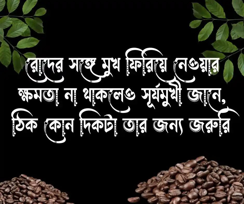 সূর্যমুখী ফুল নিয়ে স্ট্যাটাস