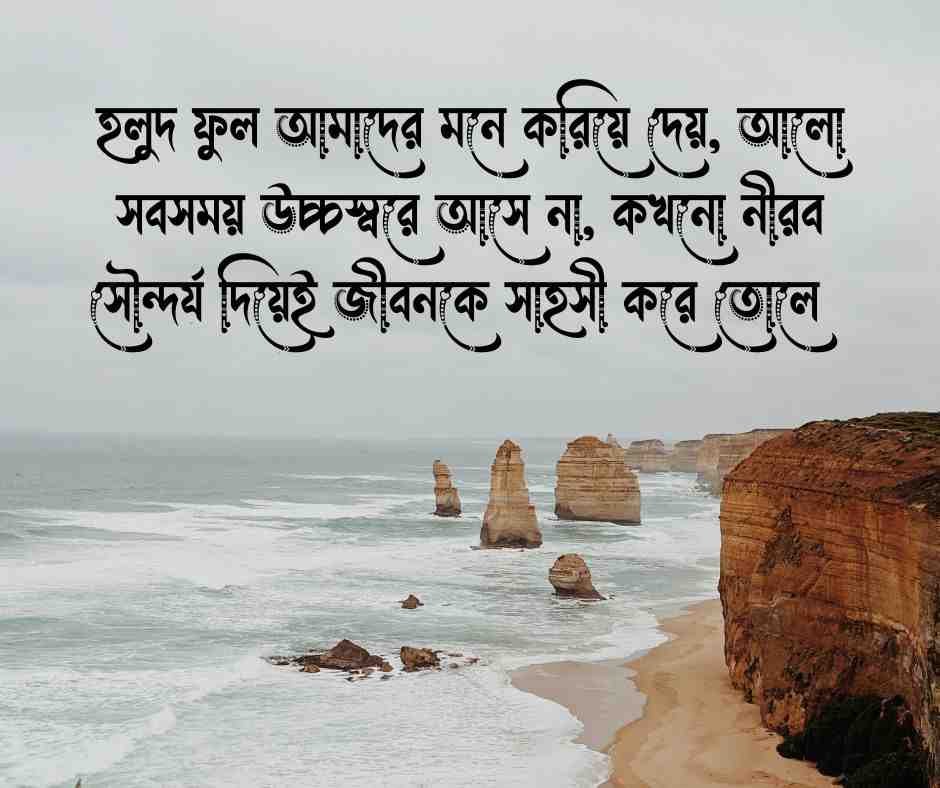 হলুদ ফুল নিয়ে উক্তি 