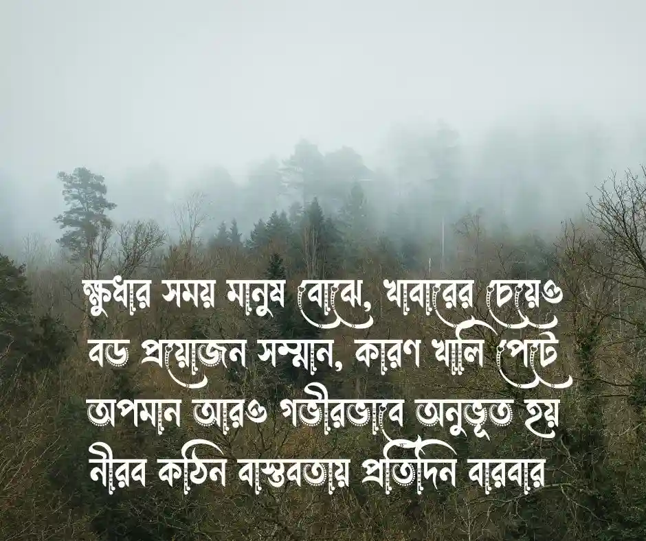 ক্ষুধা নিয়ে উক্তি | ক্ষুধা নিয়ে বাণী