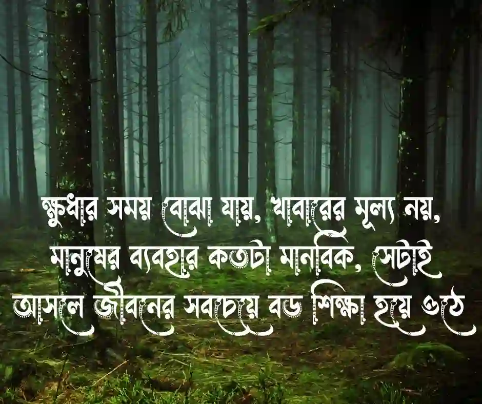 ক্ষুধা নিয়ে স্ট্যাটাস