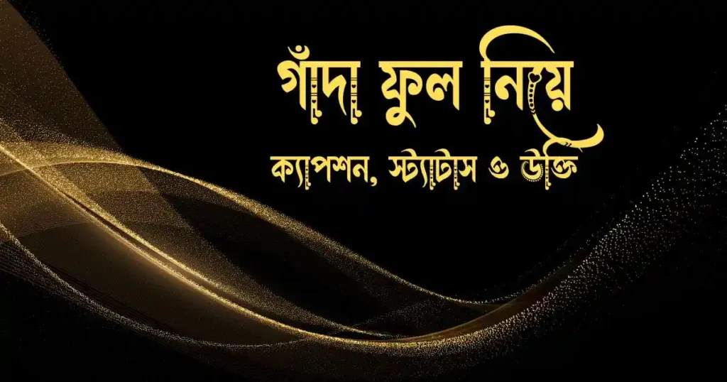 গাঁদা ফুল নিয়ে ক্যাপশন, স্ট্যাটাস ও উক্তি