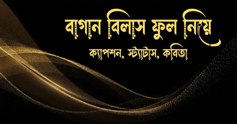 বাগান বিলাস ফুল নিয়ে ক্যাপশন, স্ট্যাটাস, কবিতা