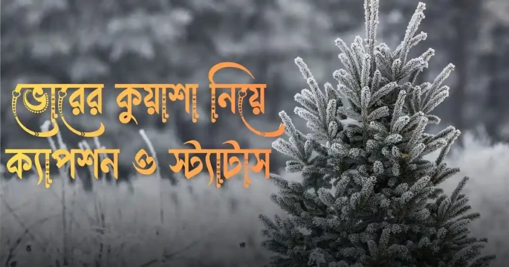 ভোরের কুয়াশা নিয়ে ক্যাপশন ও স্ট্যাটাস