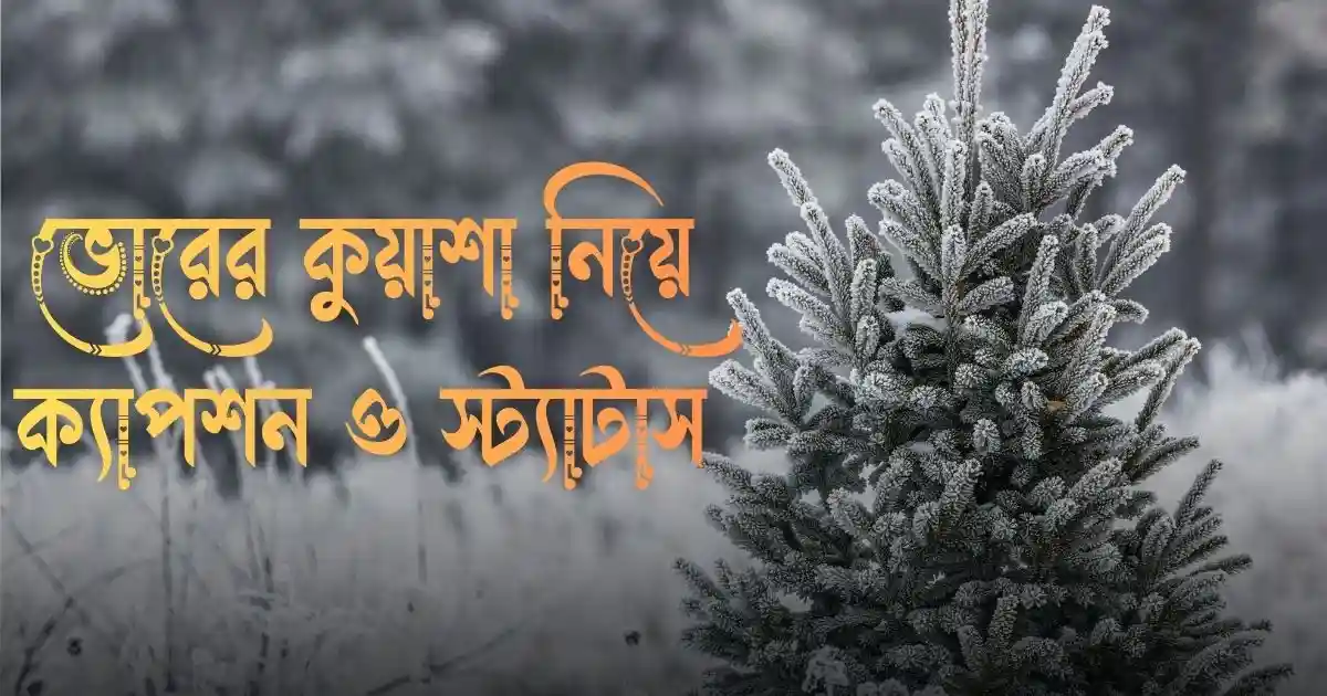 ভোরের কুয়াশা নিয়ে ক্যাপশন ও স্ট্যাটাস