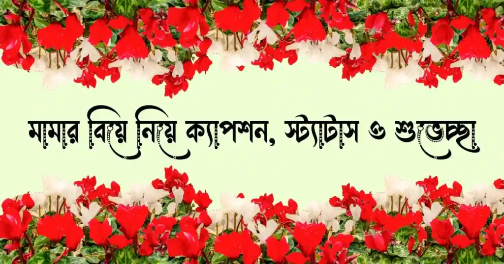 মামার বিয়ে নিয়ে ক্যাপশন, স্ট্যাটাস ও শুভেচ্ছা