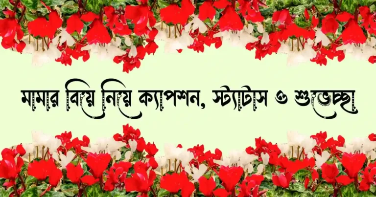 মামার বিয়ে নিয়ে ক্যাপশন, স্ট্যাটাস ও শুভেচ্ছা