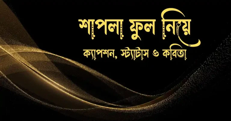 শাপলা ফুল নিয়ে ক্যাপশন, স্ট্যাটাস ও কবিতা