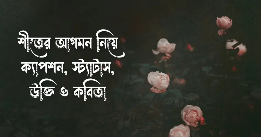শীতের আগমন নিয়ে ক্যাপশন, স্ট্যাটাস, উক্তি ও কবিতা