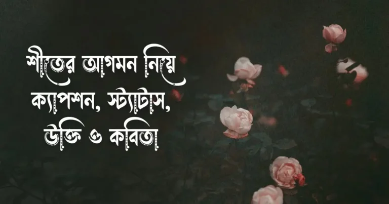 শীতের আগমন নিয়ে ক্যাপশন, স্ট্যাটাস, উক্তি ও কবিতা